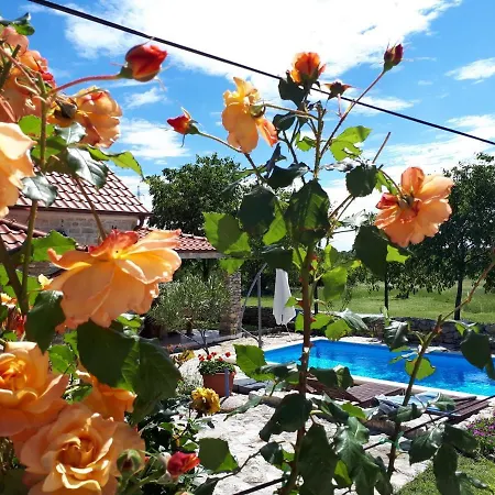 Holiday Home Toma Puljane